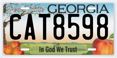 GA license plate CAT8598