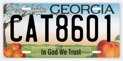 GA license plate CAT8601