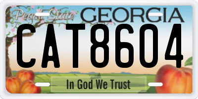 GA license plate CAT8604