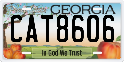 GA license plate CAT8606