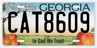 GA license plate CAT8609