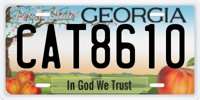 GA license plate CAT8610