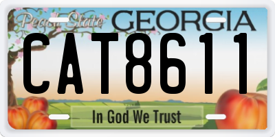 GA license plate CAT8611