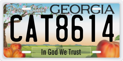 GA license plate CAT8614