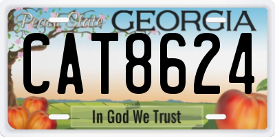GA license plate CAT8624
