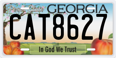 GA license plate CAT8627