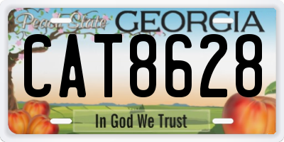 GA license plate CAT8628
