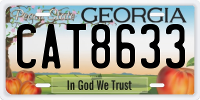 GA license plate CAT8633