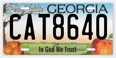 GA license plate CAT8640