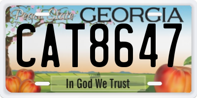 GA license plate CAT8647