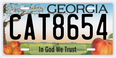 GA license plate CAT8654