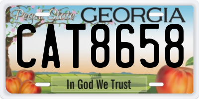 GA license plate CAT8658