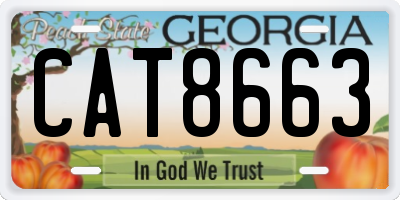 GA license plate CAT8663