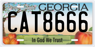 GA license plate CAT8666