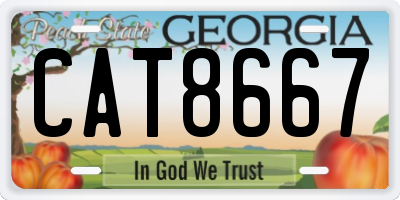 GA license plate CAT8667