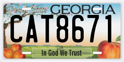 GA license plate CAT8671