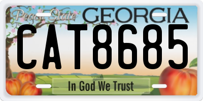GA license plate CAT8685