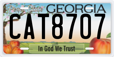GA license plate CAT8707
