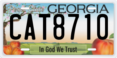 GA license plate CAT8710