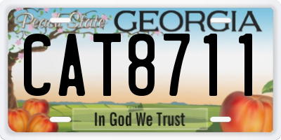 GA license plate CAT8711