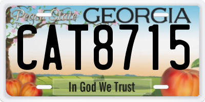 GA license plate CAT8715