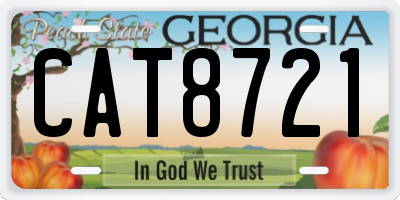 GA license plate CAT8721