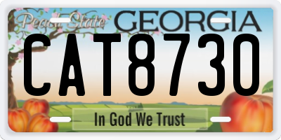 GA license plate CAT8730