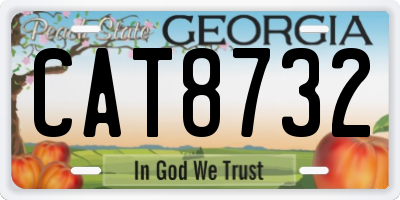 GA license plate CAT8732