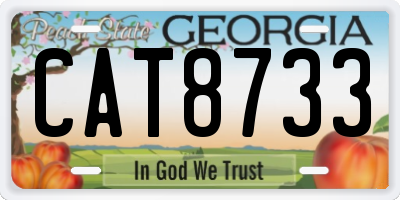 GA license plate CAT8733