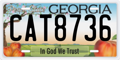 GA license plate CAT8736