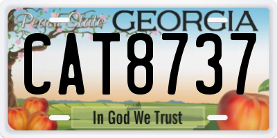 GA license plate CAT8737