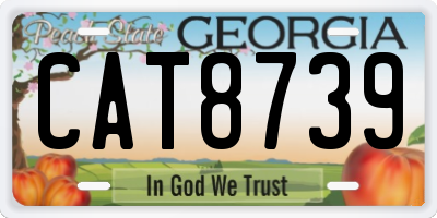 GA license plate CAT8739