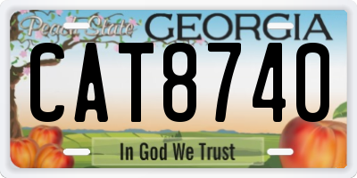 GA license plate CAT8740