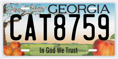 GA license plate CAT8759