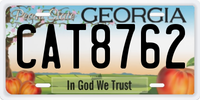 GA license plate CAT8762