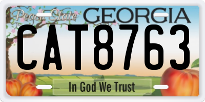 GA license plate CAT8763