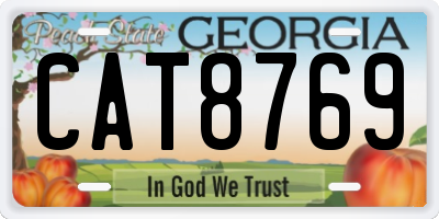 GA license plate CAT8769