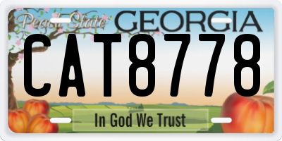 GA license plate CAT8778