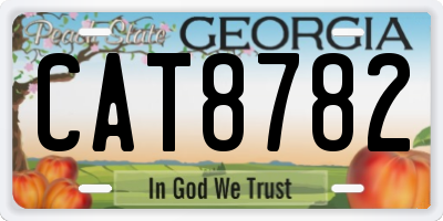 GA license plate CAT8782