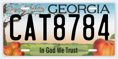 GA license plate CAT8784