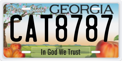 GA license plate CAT8787