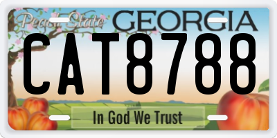 GA license plate CAT8788