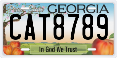 GA license plate CAT8789