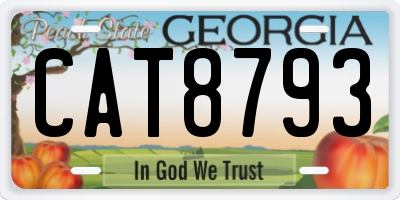 GA license plate CAT8793