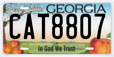 GA license plate CAT8807