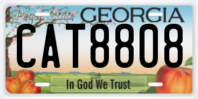 GA license plate CAT8808