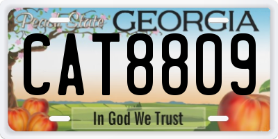 GA license plate CAT8809