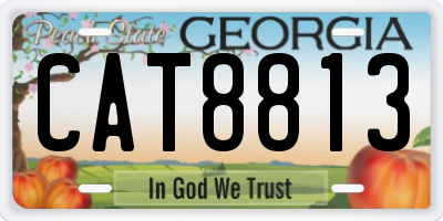 GA license plate CAT8813