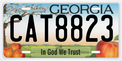 GA license plate CAT8823