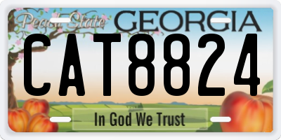 GA license plate CAT8824